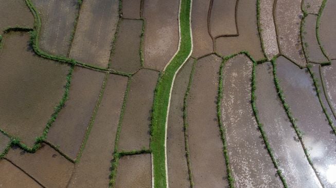 Foto udara kawasan pertanian di Desa Darmaraja, Kabupaten Ciamis, Jawa Barat, Minggu (17/7/2022). [ANTARA FOTO/Adeng Bustomi/aww]