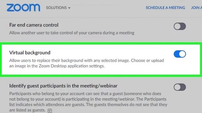 Cara Ganti Background Zoom Meeting di HP dan Laptop, Mudah Diikuti Pemula