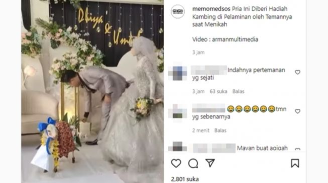 Pengantin pria mendapat hadiah pernikahan seekor anak kambing dari teman-temannya. (Instagram/@memomedsos)