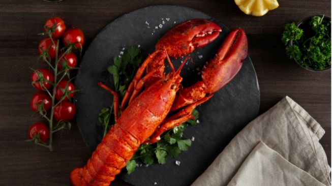 Lobster (Freepik.com)