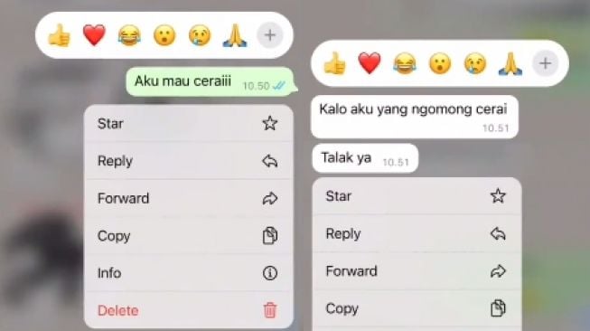 Viral Istri Prank Chat Minta Cerai ke Suami, Endingnya Bikin Geram, Auto Banjir Hujatan: Mau Diaminin Nggak?