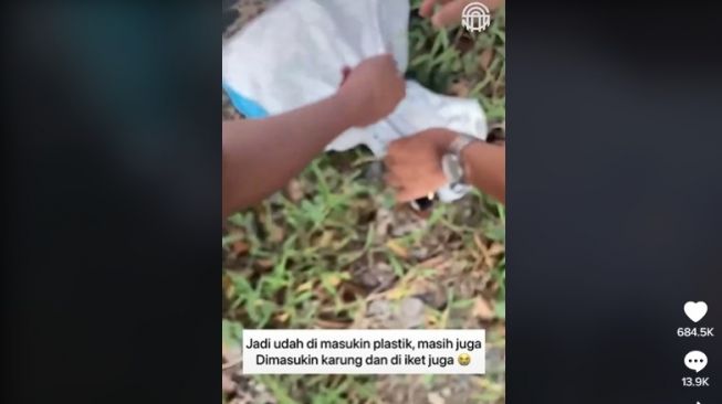 Keji! Kucing dikarungin dan dibuang ke kali. [TikTok]