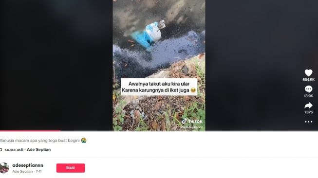 Keji! Kucing dikarungin dan dibuang ke kali. [TikTok]