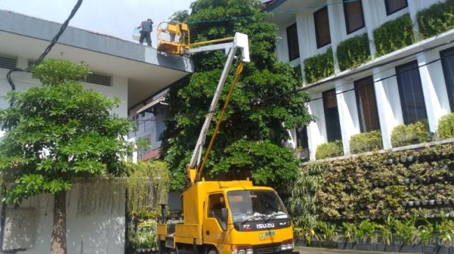 Heboh, Seekor Monyet Nyelonong Masuk Kantor Bupati Banyuwangi