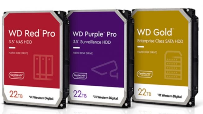 Wow! Penuhi Penyimpanan Pusat Data dan Video, WD Luncurkan Hard Disk Berkapasitas 22TB