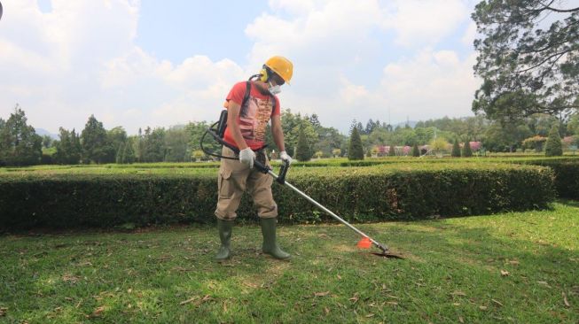 Kesadaran Masyarakat terhadap Isu Lingkungan Makin Tinggi, Konsumen Kini Pilih Produk yang Hemat Bahan Bakar