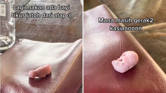 Lagi Enak Makan, Pelanggan Dikejutkan dengan Jatuhnya Bayi Tikus di Meja, Publik: Jorok Banget