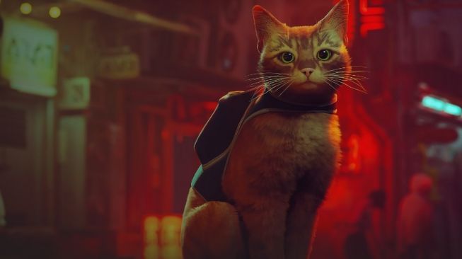 Spesifikasi PC Main Stray, Game Petualangan Kucing Oren Terbaru