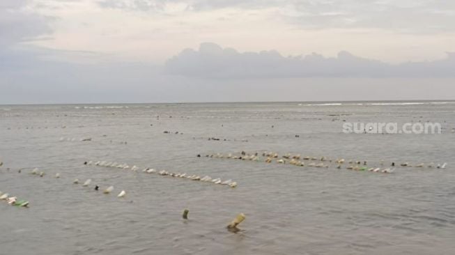 Budidaya rumput laut menghalangi aktivitas olahraga kitesurfing di Kabupaten Jeneponto, Sulawesi Selatan [SuaraSulsel.id/ Dokumentasi Ahmad Bahar] 