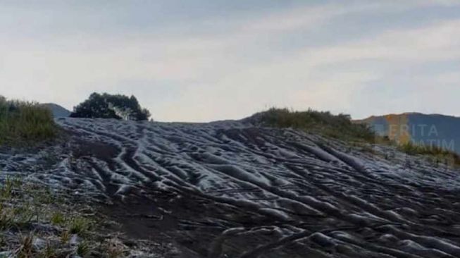 Kemarin Ramai Berita Fenomena Embun Es di Bromo-Semeru sampai Obat Kedaluwarsa Dinkes Jember Senilai Rp 7 Miliar