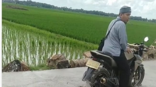 Geger Pemotor Terjebak di Jalan Cor yang Masih Basah, Publik: Nyusahin Aja Lu Pak