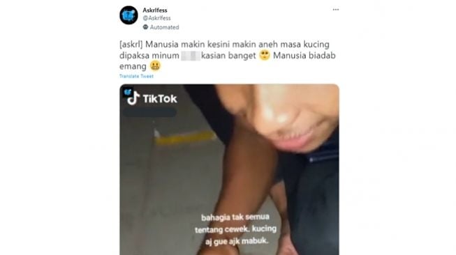 Ramai Video Pemuda Diduga Cekoki Anak Kucing Pakai Minuman Beralkohol, Publik Mencak-mencak