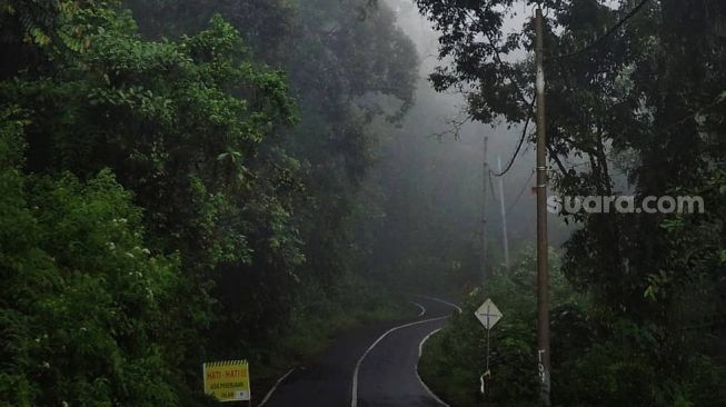 Fenomena Suhu Dingin 'Bediding' Melanda Banyuwangi