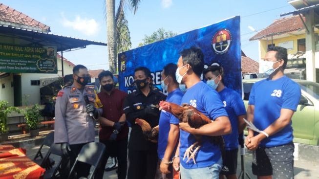 Gerebek Praktik Sabung Ayam, Polres Bantul Masih Kejar 3 Tersangka Lain