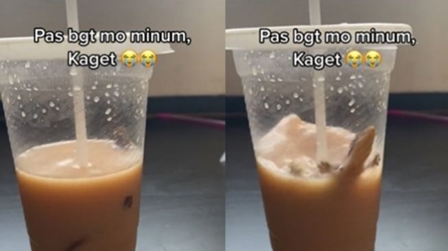 Jijik! Sudah Habis Setengah Gelas, Wanita Ini Temukan Cicak Hidup Berenang di Milk Tea Pesanannya