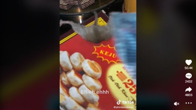 Pengin Ngemil, Tikus Ini Malah Bernasib Apes Kejepit Dus Bakpia Jogja