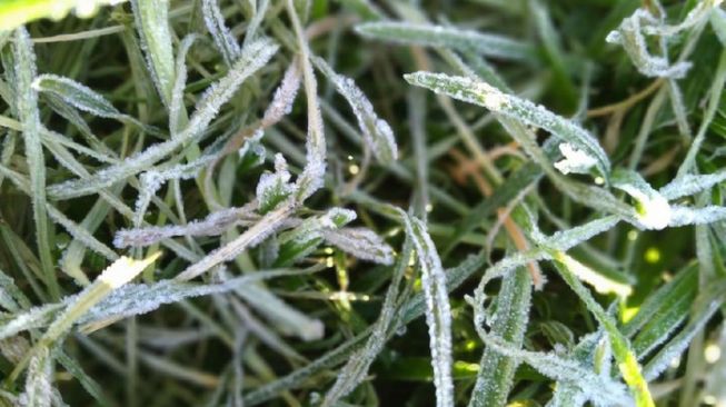 Suhu Dingin Landa NTT, Kabupaten Manggarai Mencapai 10 Derajat Celsius