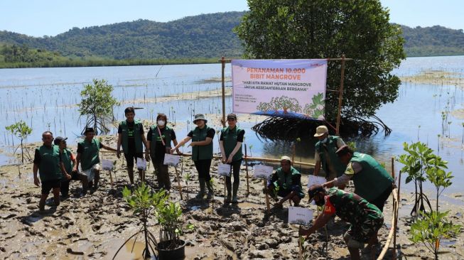 Tingkatkan Kesejahteraan Masyarakat, MPMX Tanam 10.000 Bibit Mangrove di Desa Golo Sepang NTT