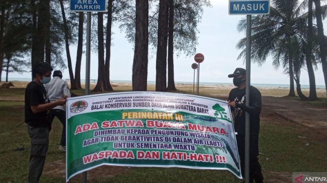 Petugas Resor Konservasi Sumber Daya Alam memasang spanduk berisi peringatan mengenai risiko serangan buaya di Kabupaten Agam, Provinsi Sumatera Barat. (ANTARA/Yusrizal)