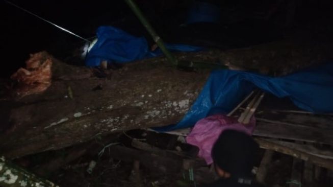 1 Meninggal dan 9 Luka-luka Akibat Pohon Tumbang Saat Warga Gelar Pesta di Enrekang