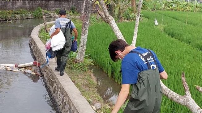 Potret Kiran Cucu Presiden Soekarno Bersih-Bersih Sungai (Instagram/kartikasoekarnofoundation)