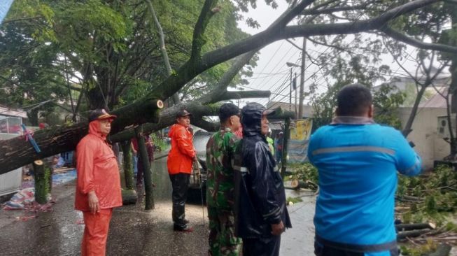 Pohon Tumbang di Padang Timpa Mobil Warga, Akses Jalan Terhambat