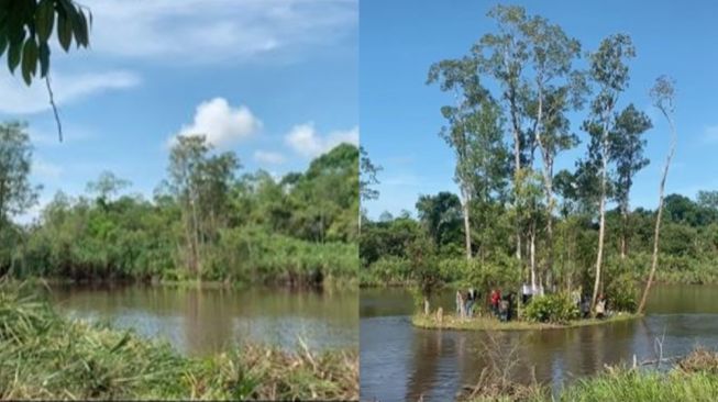Viral Pulau di Kalimantan Bergerak Ikuti Arus Sungai, Begini Penampakannya
