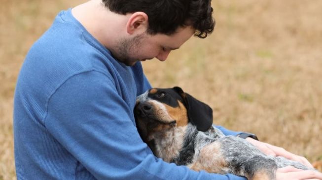 Diabetes Juga Bisa Serang Anjing Loh, Bagaimana Cara Mencegahnya?