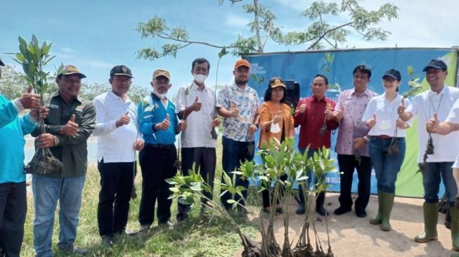 Komitmen untuk Melestarikan Ekosistem Laut di Medan, PNM dan Pemprov Sumut Tanam 7.000 Mangrove