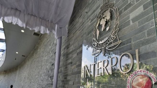Buronan Interpol Asal Ceko Karena Pembobolan 19 Perusahaan Ditangkap di Bali