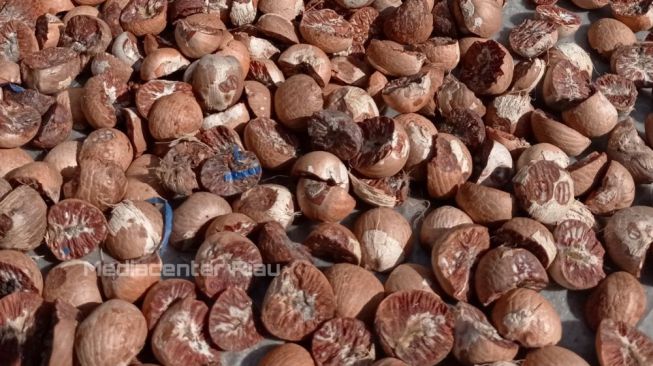 Harga Pinang Kering di Riau Rp10.367 per Kg