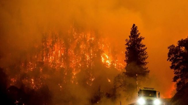 Kebakaran Hebat Hutan di California, Dua Orang Tewas