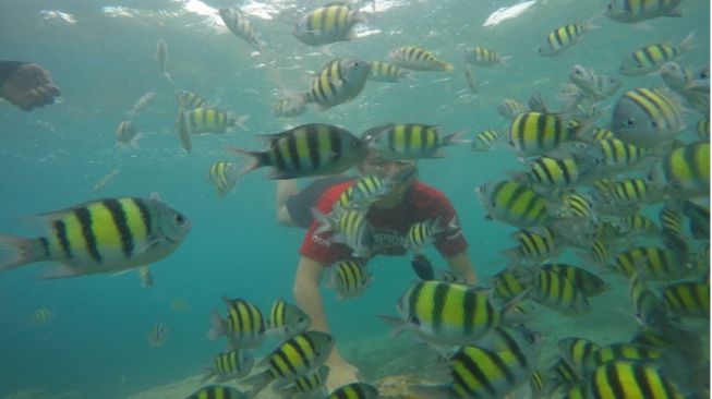 Menikmati Keindahan Bawah Laut Pulau Pagang, Sekalian Cosplay Mermaid Nih!