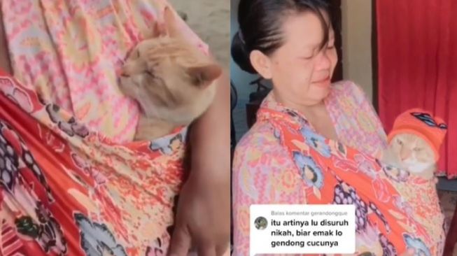 Gendong Pakai Selendang, Ibu Ini Anggap Kucingnya bak Cucu Sendiri