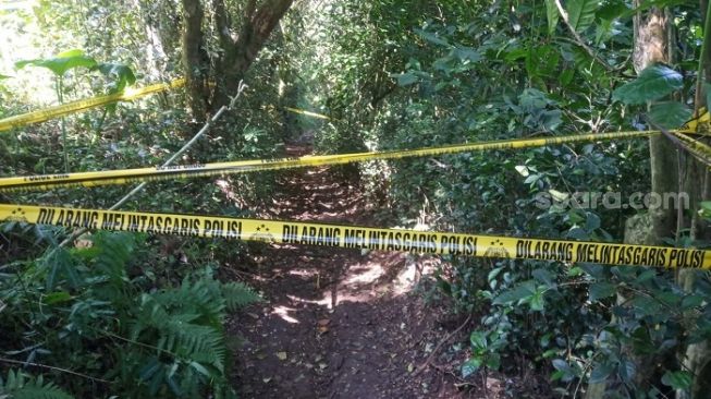 Mayat Bocah di Kebun Kopi Grabag Diduga Korban Pembunuhan, Polisi Selidiki Motif Penganiayaan