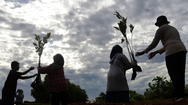 Aksi Penanaman Seribu Mangrove di Kawasan Pesisir Aceh