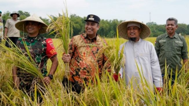 Gubernur Sulsel Andi Sudirman dan Bupati Maros Chaidir Syam Panen Padi di Kecamatan Tanralili