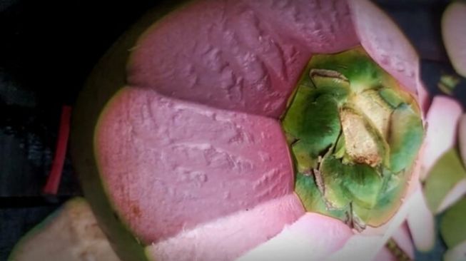 Kelapa Berwarna Merah Muda Ini Bisa Bikin Awet Muda hingga Turunkan Berat Badan