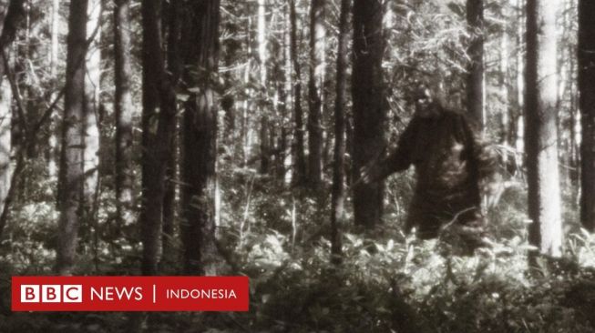 Apakah Makhluk Bigfoot Benar-benar Ada?