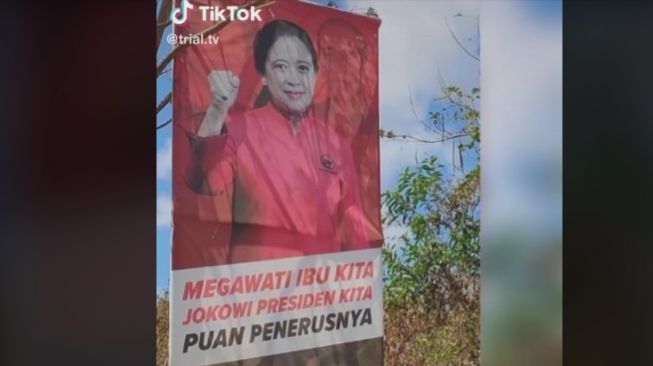 Viral Baliho Puan Maharani Bertuliskan Penerus Presiden Jokowi, Pria Ini Beri Komentar Menohok