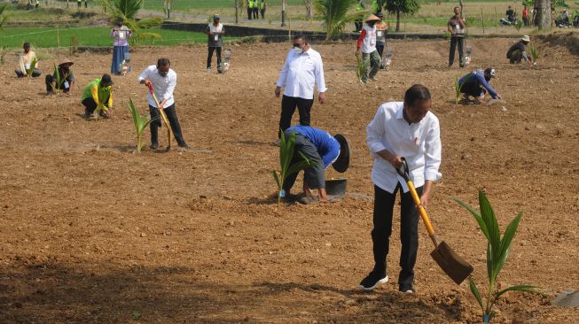 Presiden Joko Widodo (kanan) bersama Menteri Sekretaris Negara Pratikno (keempat kiri) menanam bibit pohon kelapa genjah bersama petani di lahan pertanian Giriroto, Ngemplak, Boyolali, Jawa Tengah, Kamis (11/8/2022). ANTARA FOTO/Aloysius Jarot Nugroho
