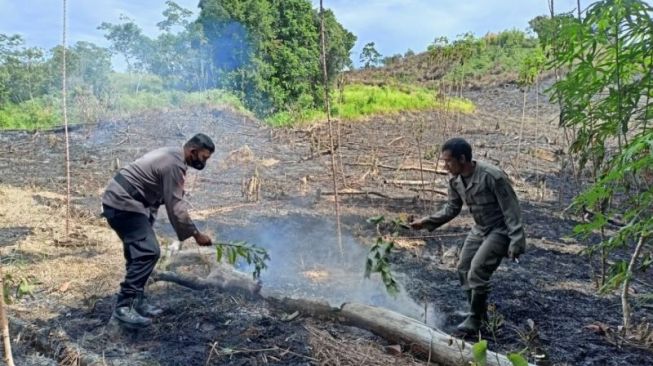 Tim Gabungan Padamkan Karhutla di Bukit Sinduk Perbatasan RI-Malaysia