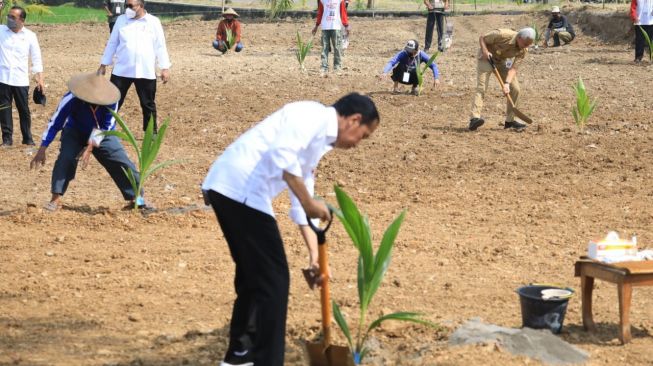 Masyarakat Kabupaten Sukoharjo dan Boyolali Dapat Bantuan 110 Ribu Benih Kelapa Genjah dari Pemerintah