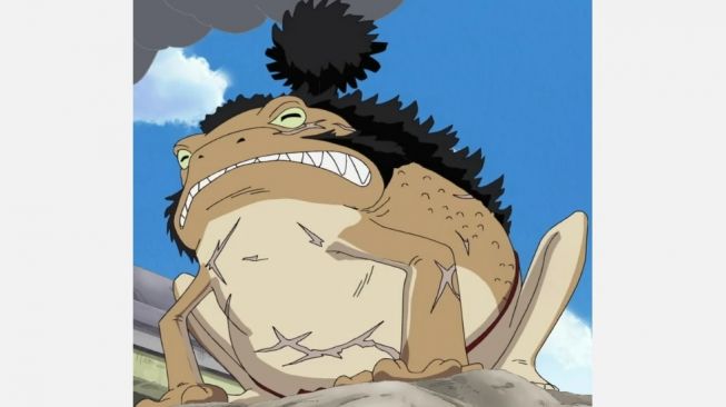 Yokozuna, One Piece. [Onepiece.fandom]