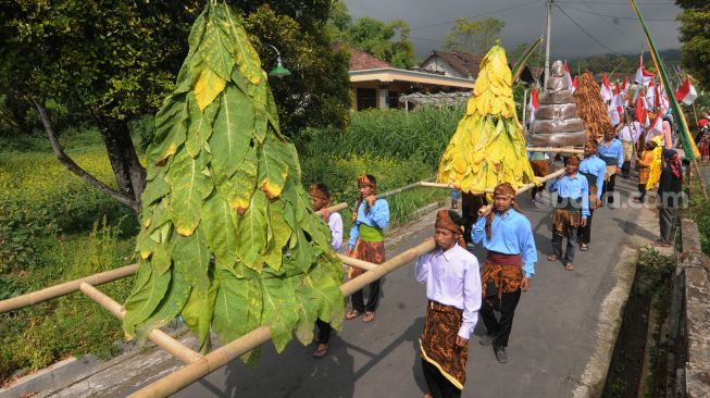 Warga membawa gunungan daun tembakau saat mengikuti Kirab Gunungan Tembakau dan Bendera Merah Putih di Gedangan, Cepogo, Boyolali, Jawa Tengah, Sabtu (13/8/2022). [ANTARA FOTO/Aloysius Jarot Nugroho/nym]