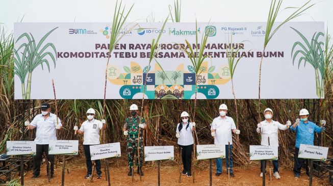 Program Makmur Tingkatkan Produktivitas Tebu