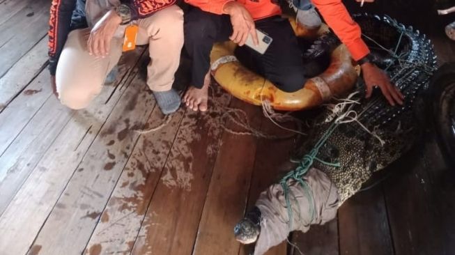 Sempat Menyerang Sejumlah Warga saat Mandi, Seekor Buaya Berhasil Ditangkap Warga Sungai Pinyuh