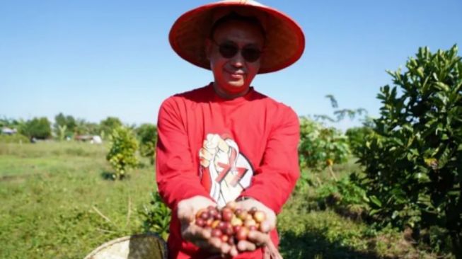 Harga Kopi Liberika Tembus hingga Rp80 Ribu di Tingkat Petani Kalbar