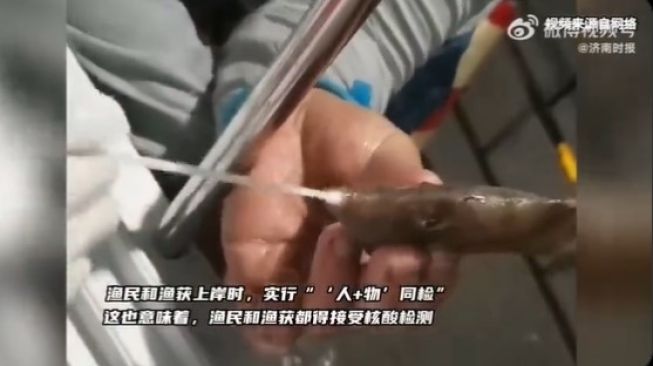 VIDEO Viral! China Tes Swab Ikan Hasil Tangkapan Nelayan, Bikin Heboh