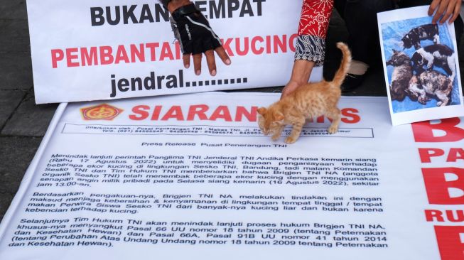 Unjuk Rasa Protes Penembakan Kucing di Sesko TNI Bandung